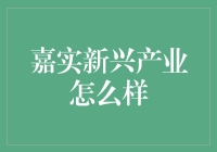 如何用一只小猫解释嘉实新兴产业基金？