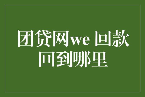 团贷网we 回款回到哪里