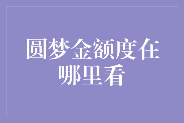 圆梦金额度在哪里看