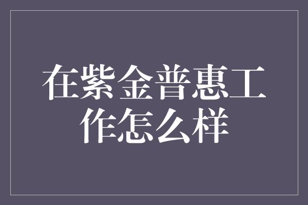 在紫金普惠工作怎么样