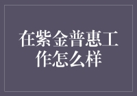 紫金普惠：金融行业的创新先锋