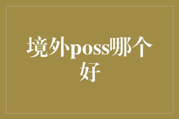 境外poss哪个好