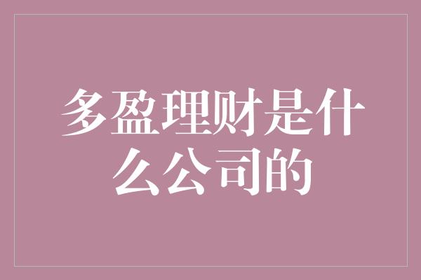 多盈理财是什么公司的