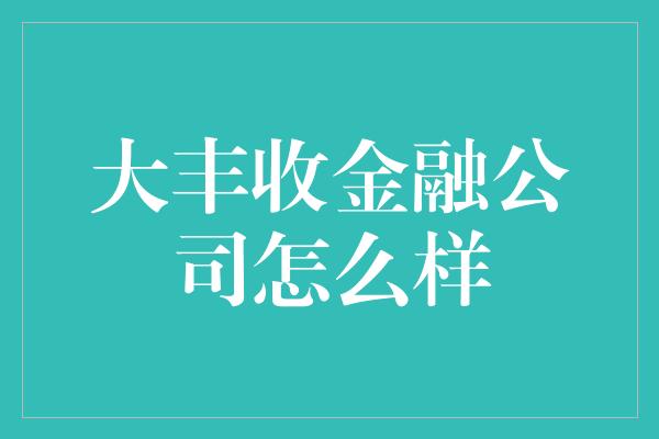 大丰收金融公司怎么样