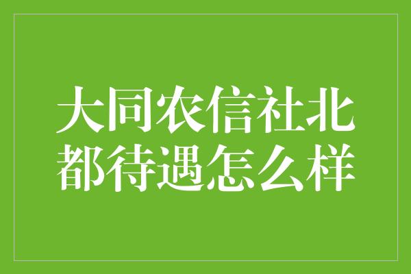 大同农信社北都待遇怎么样