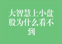 大智慧上小盘股的消失：股民的奇幻漂流记