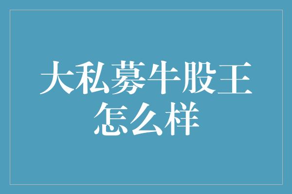 大私募牛股王怎么样