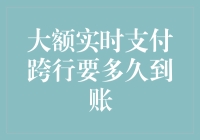 大额资金实时跨行支付：到账时间揭秘