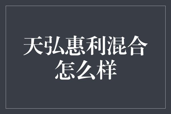 天弘惠利混合怎么样