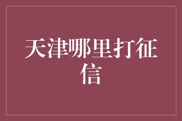 天津哪里打征信