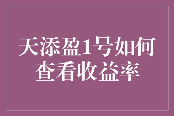 天添盈1号如何查看收益率