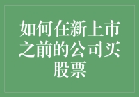 在新上市之前投资公司的策略：如何评估未公开企业的价值