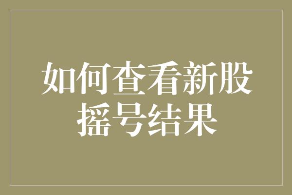 如何查看新股摇号结果