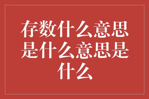 存数什么意思是什么意思是什么