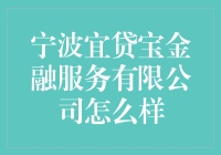 宁波宜贷宝金融服务有限公司：互联网金融领域的创新与挑战