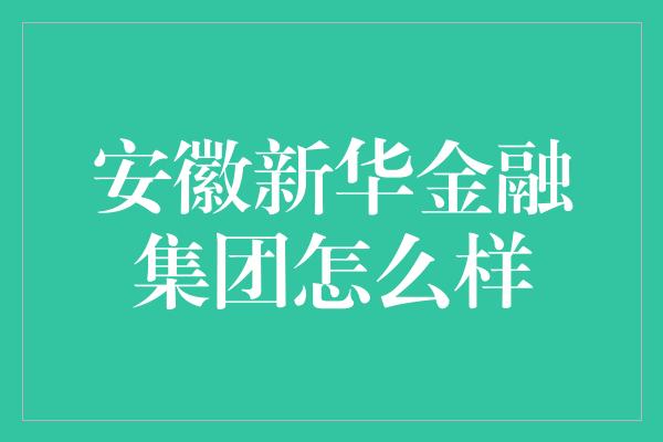 安徽新华金融集团怎么样