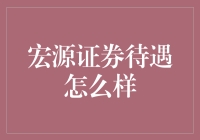 宏源证券待遇解析：全面剖析其福利体系与职业发展前景