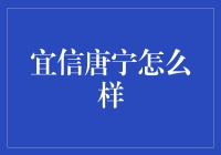 唐宁的奇幻理财之旅：为什么宜信能让你的钱生钱？