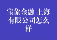 宝象金融：上海有限公司的创新成就与挑战