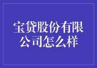 宝贷股份有限公司：你的钱袋子新管家？