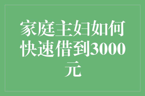 家庭主妇如何快速借到3000元