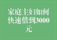 家庭主妇如何快速借到3000元：五步技巧与专业建议