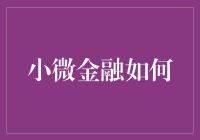 小微金融服务：机遇还是挑战？