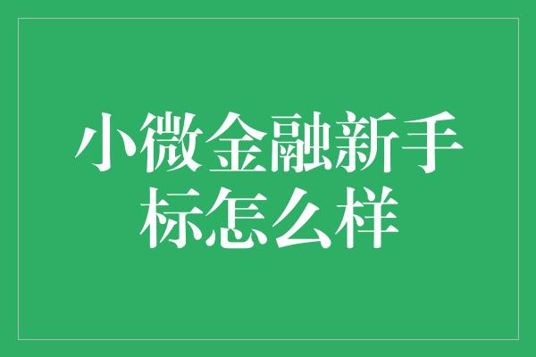 小微金融新手标怎么样