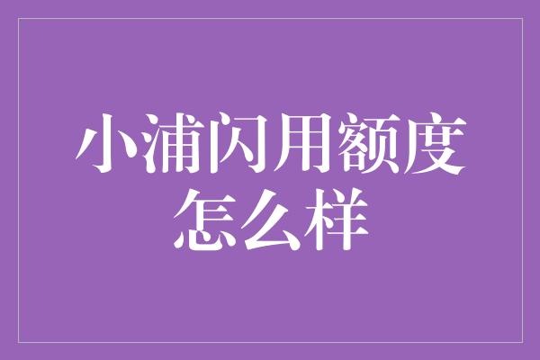 小浦闪用额度怎么样