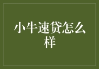 小牛速贷：速度与激情的联手，让贷款不再烦恼