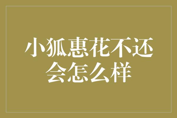 小狐惠花不还会怎么样