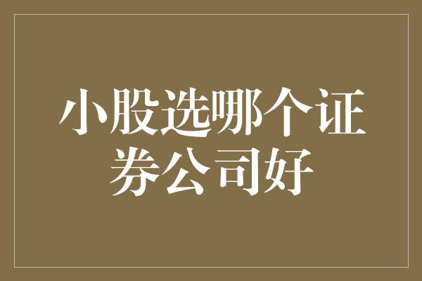 小股选哪个证券公司好