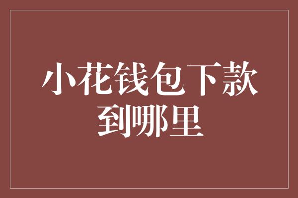 小花钱包下款到哪里