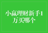 小赢理财新手如何选择1万元投资产品——策略与建议