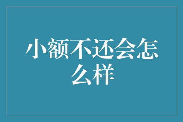 小额不还会怎么样