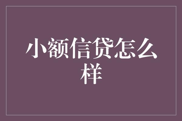 小额信贷怎么样