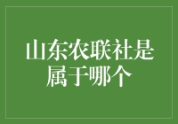 山东农联社的秘密组织身份大揭秘！它究竟是谁的？