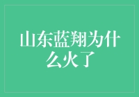 山东蓝翔技校：从挖掘机技术哪家强到专业教育的梦幻工厂