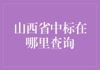 山西省中标查询攻略：从新手到高手一步步带你入门