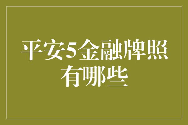 平安5金融牌照有哪些