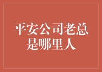 平安公司老总到底来自哪儿？