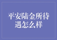 平安陆金所福利待遇解析：职场新人的福利指南