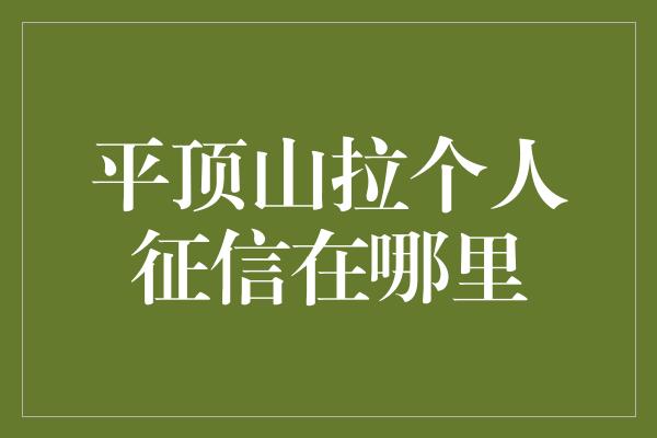 平顶山拉个人征信在哪里