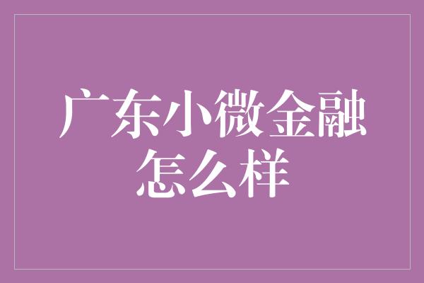 广东小微金融怎么样