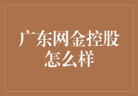 广东网金控股：互联网金融新生态的探索者