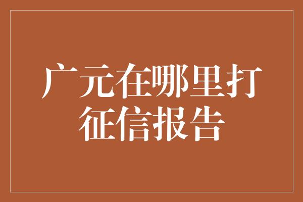 广元在哪里打征信报告