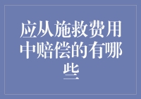 施救费用中的理赔范围与界定：一份详尽指南