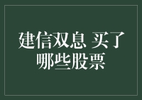 建信双息混合基金：投资组合分析与解读