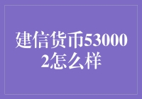 建信货币530002：带你体验摸鱼的艺术