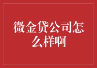 微金贷公司：构建智能化个人信贷服务，引领金融普惠新潮流